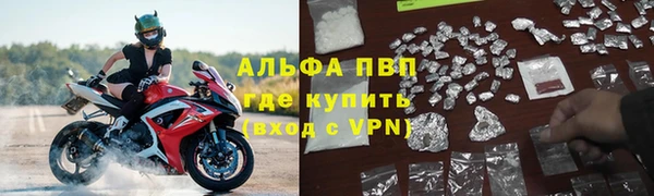 прущие крисы Пересвет